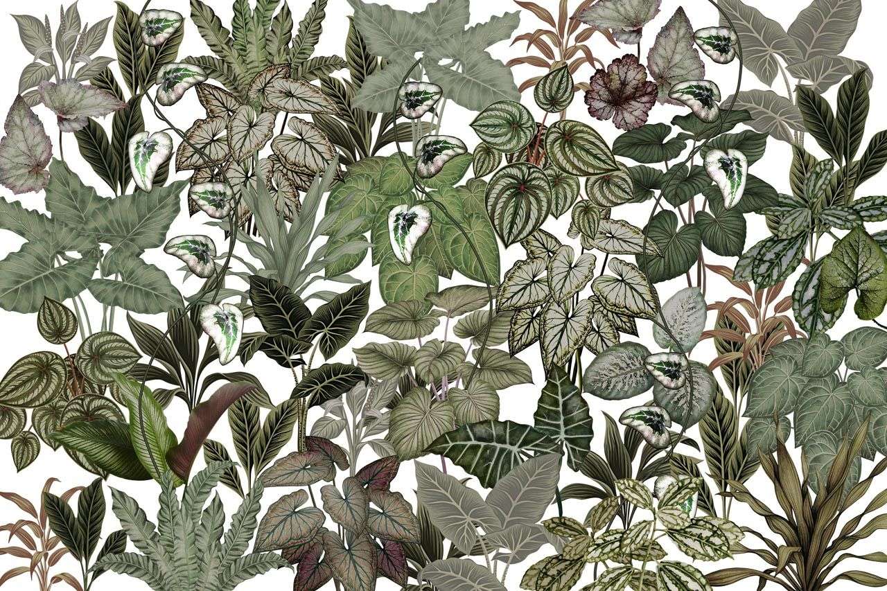 Фотообои в интерьере тропический микс  13-536 фото