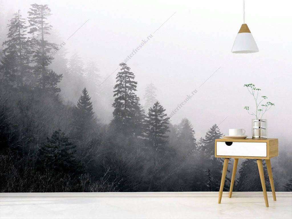 Фотообои в интерьере красота тумана  9-1162 фото