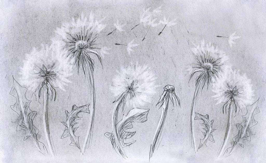 Фотообои в интерьере одуванчики летят  15-733 фото