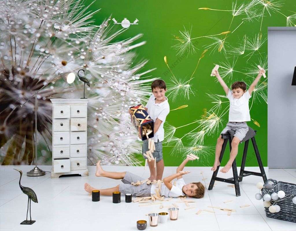 Фотообои в интерьере одуванчик в росе  9-1607 фото