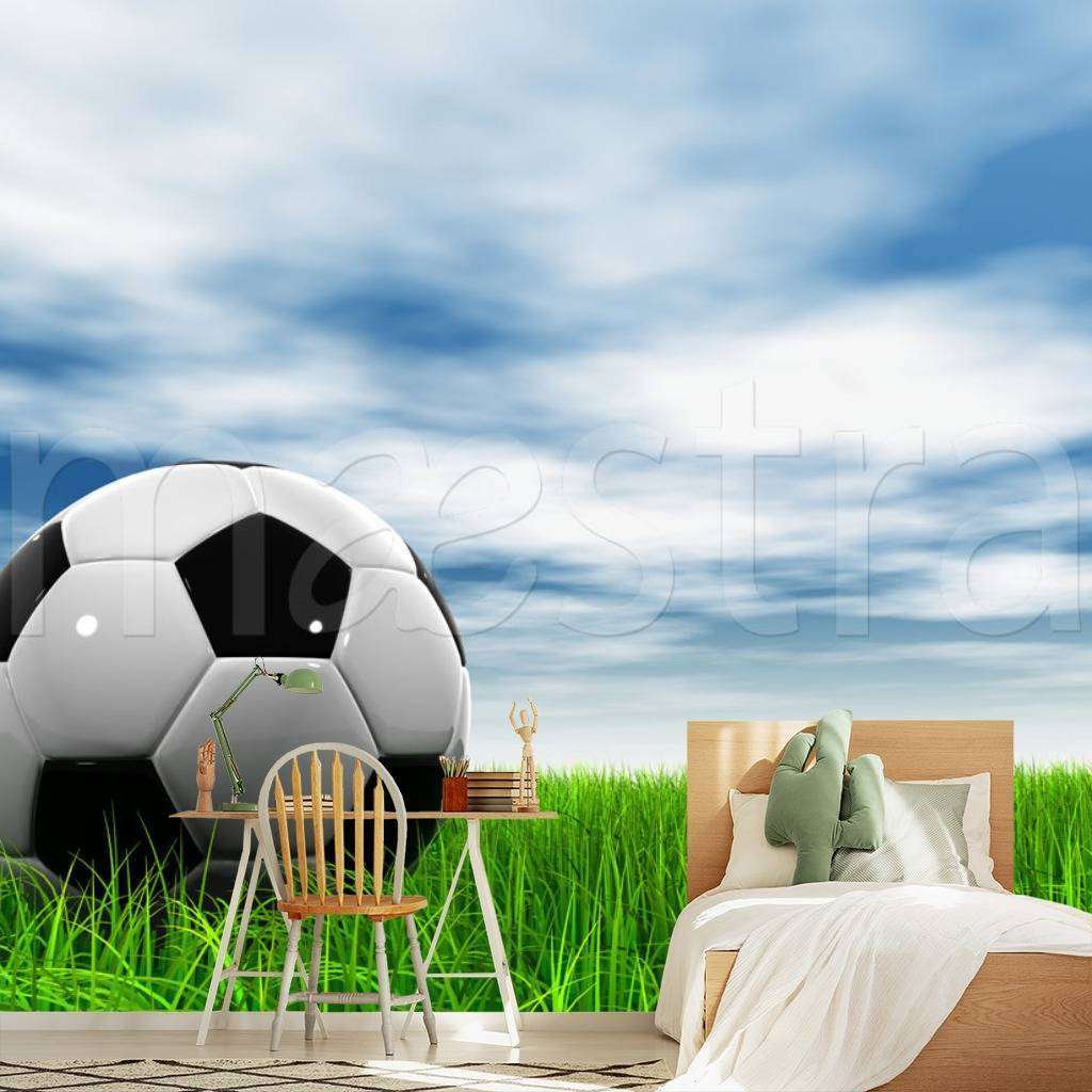 Фотообои в интерьере мяч на фоне неба  12-531 фото