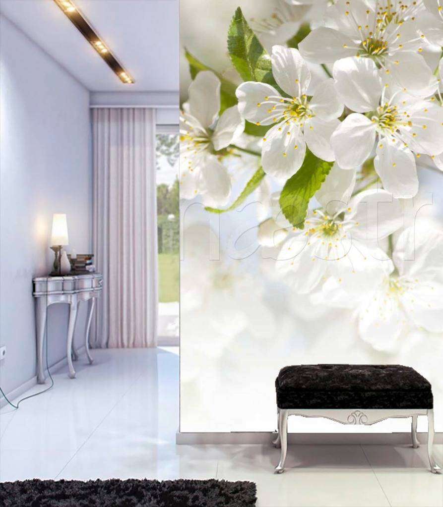 Фотообои Белоснежные лепестки вишни  10-102