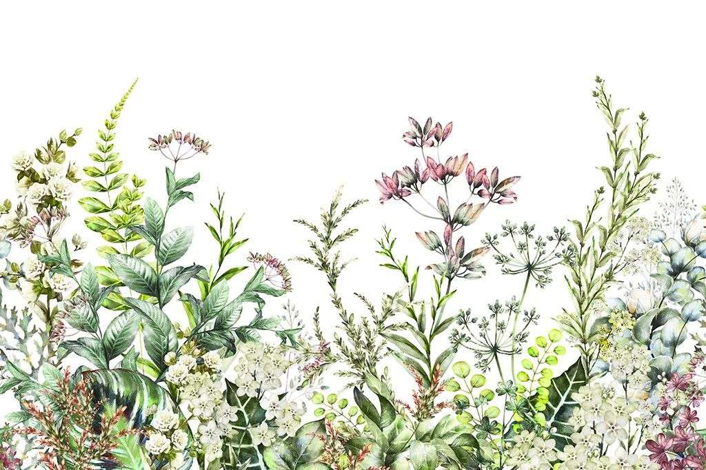 Фотообои в интерьере душистые травы  9-1725 фото