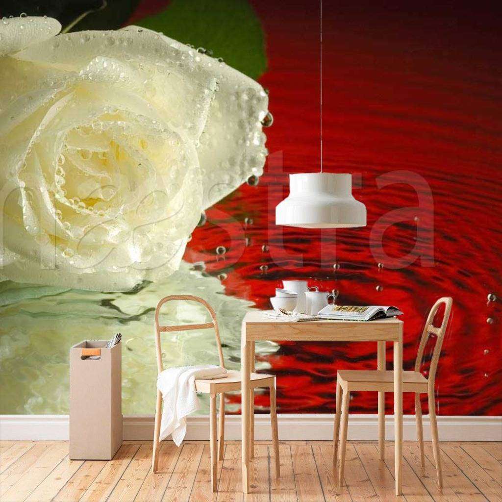 Фотообои Белая роза на воде с красным цветом  10-316