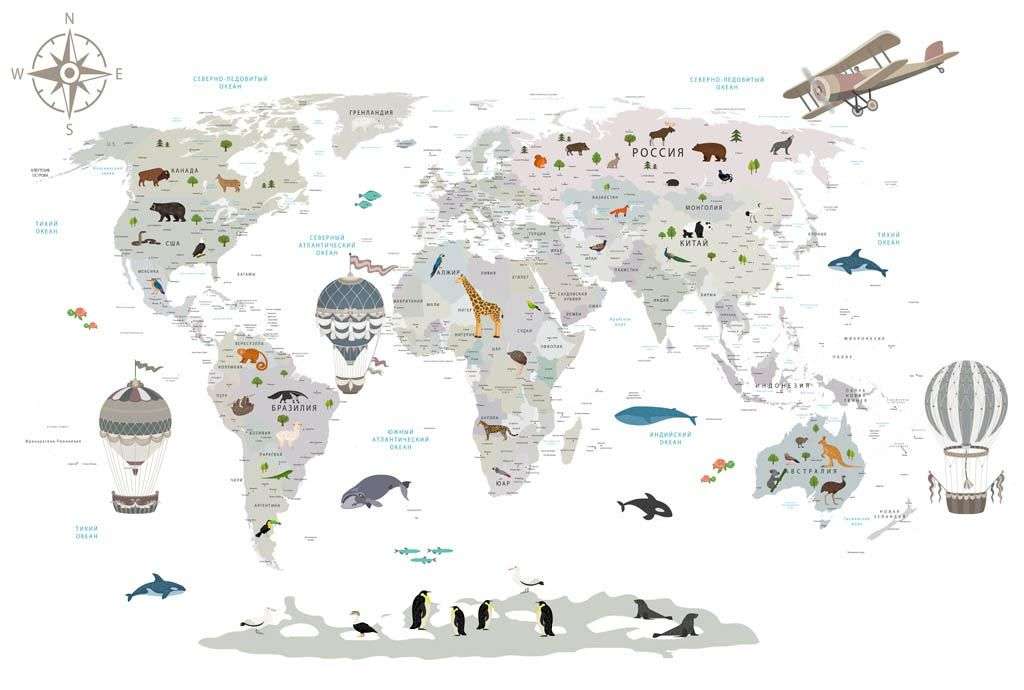 Фотообои в интерьере серая карта на белом фоне  14-184 фото