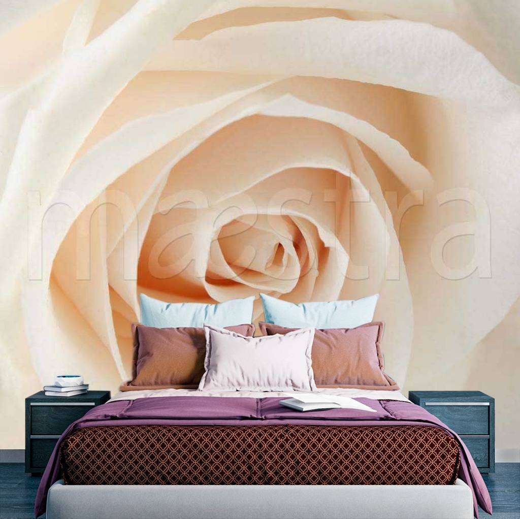 Фотообои Нежная роза  9-041