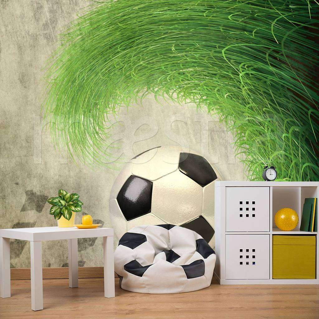 Фотообои в интерьере футбольный мяч в траве  12-546 фото