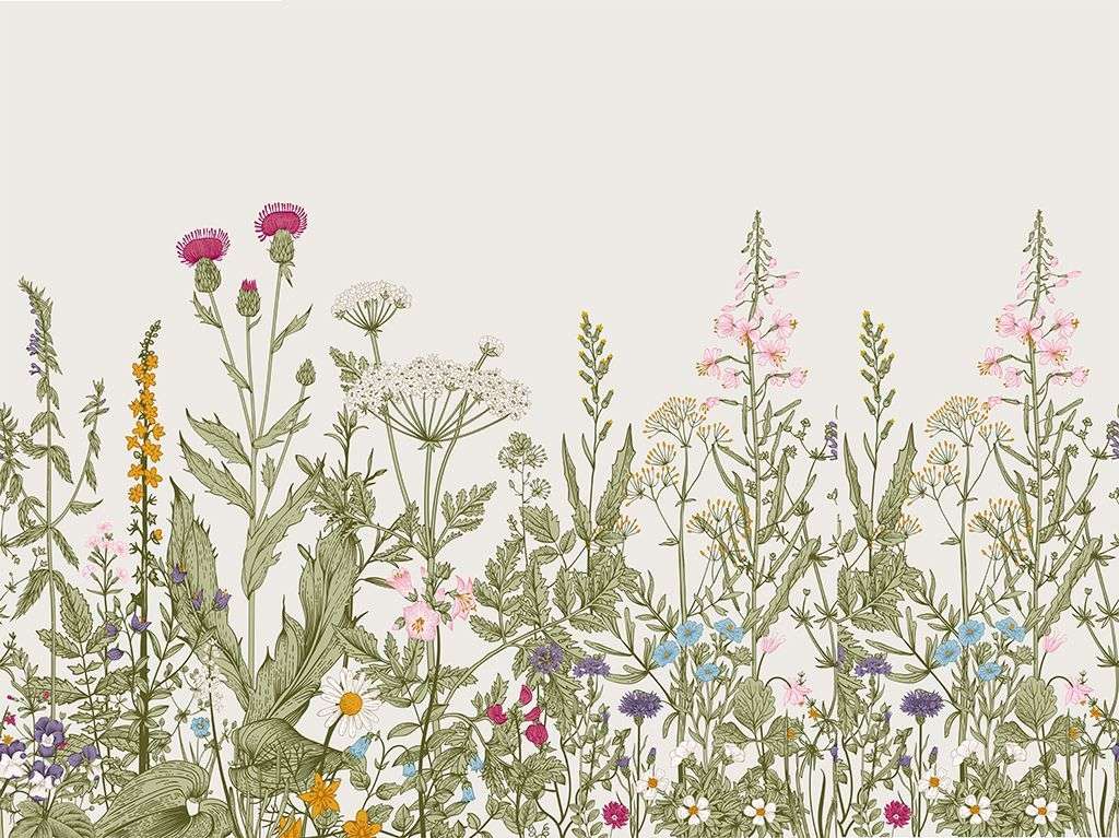 Фотообои в интерьере в кухню полевые цветы  9-1863 фото