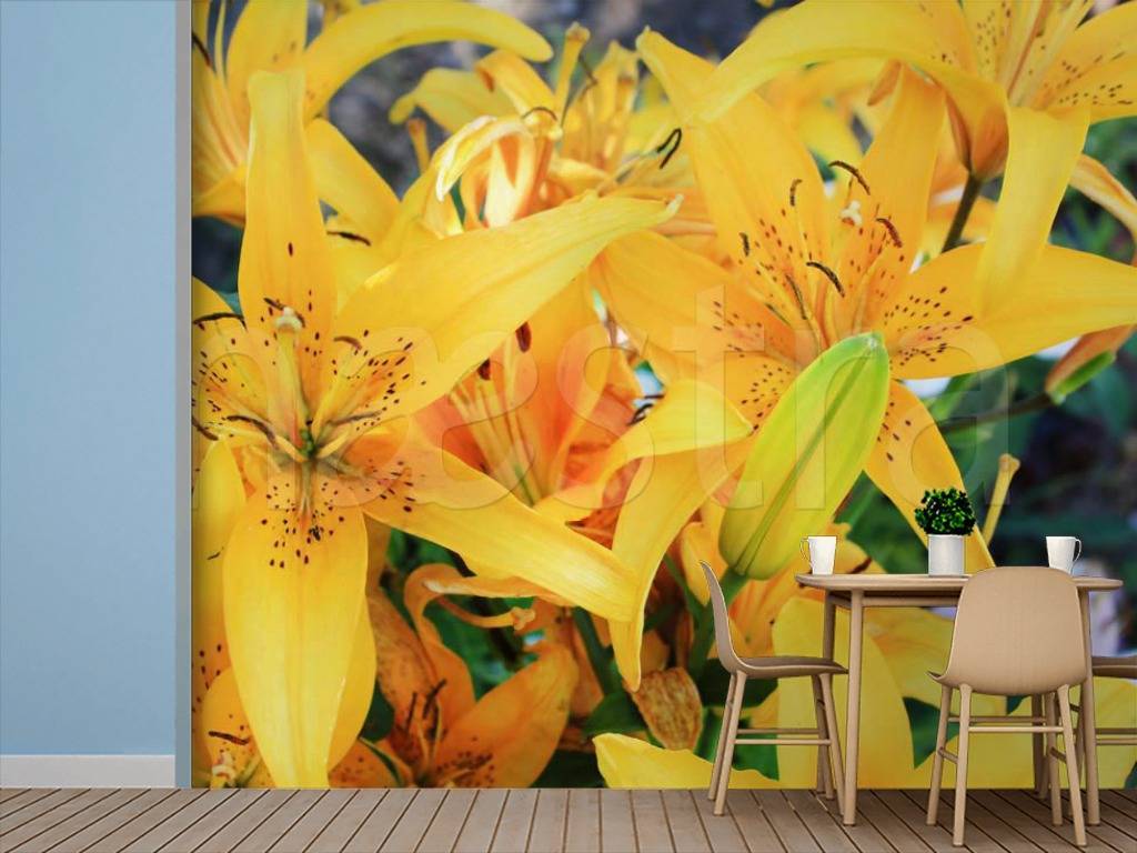 Фотообои Букет желтых цветов  3-167