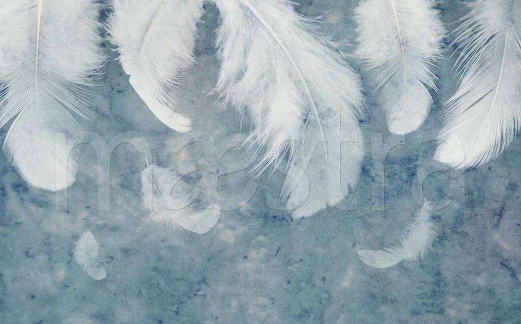 Фотообои в интерьере перья на сизом фоне  15-508 фото