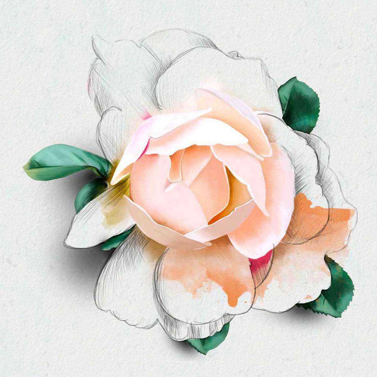 Фотообои в интерьере чайная роза художественная  10-239 фото