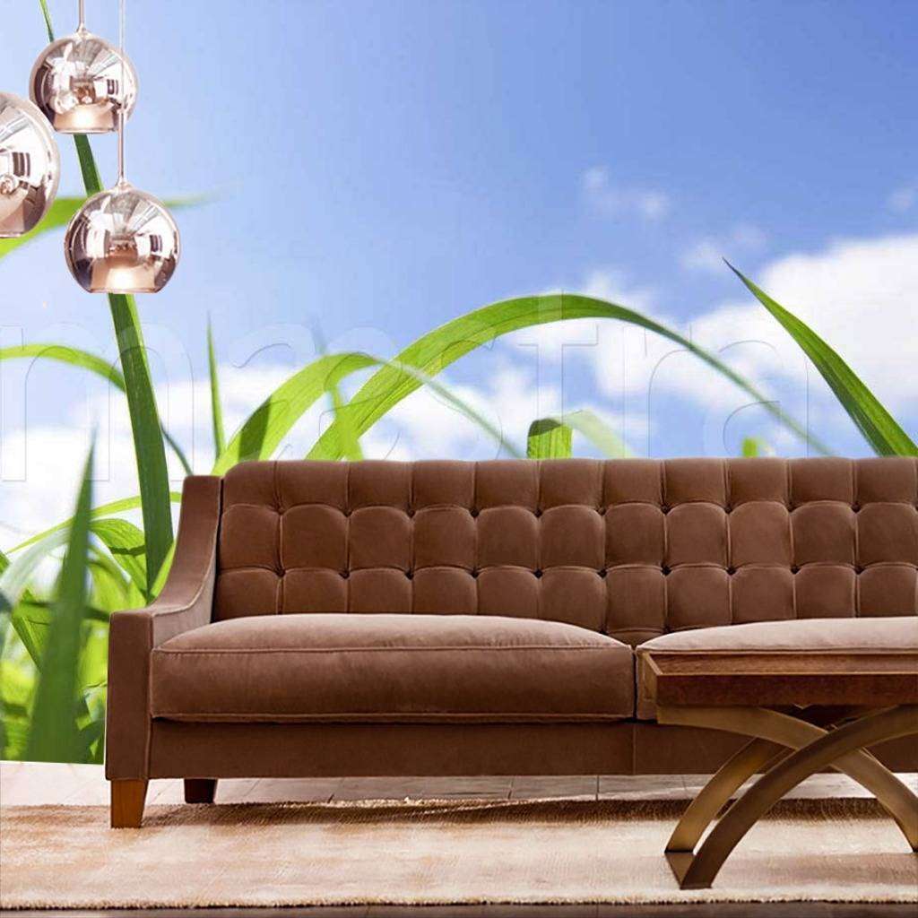 Фотообои Сочная зеленая трава и небо  9-404