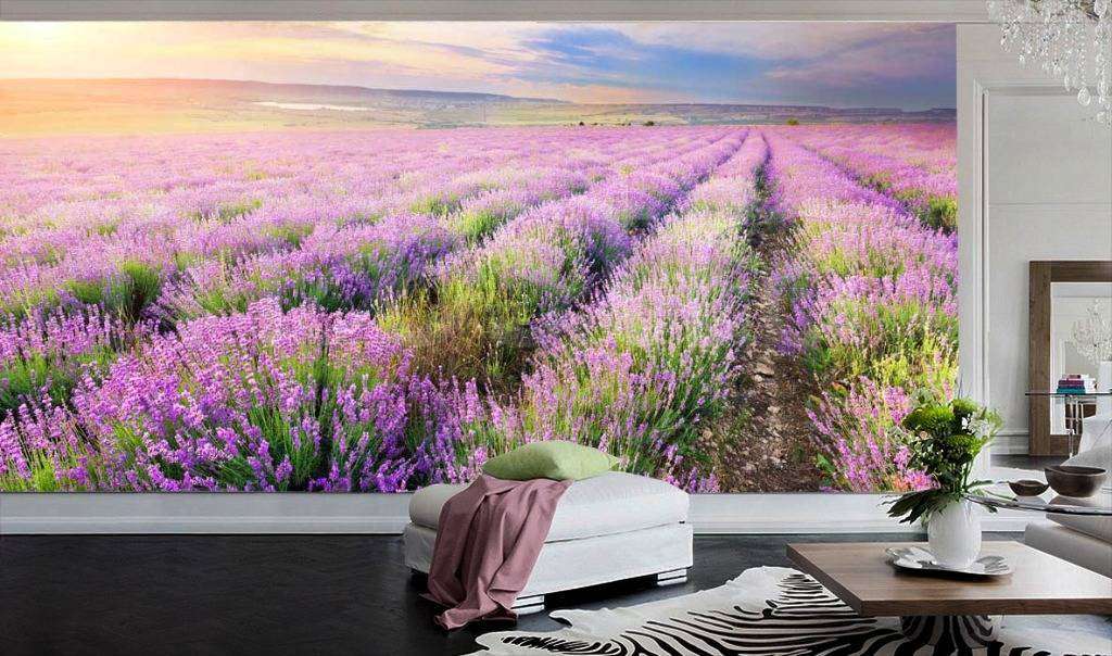 Фотообои Лавандовое поле  9-219