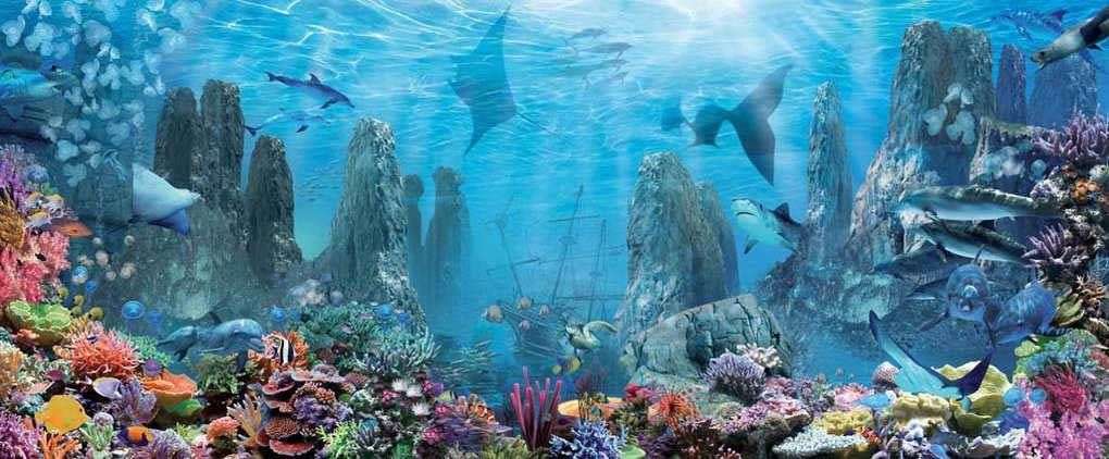 Фотообои в интерьере затонувший корабль  17-0086 фото