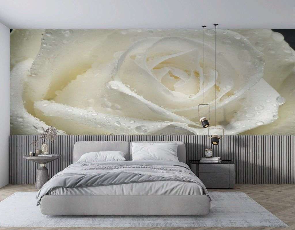 Фотообои в интерьере роза белая большая  9-1955 фото