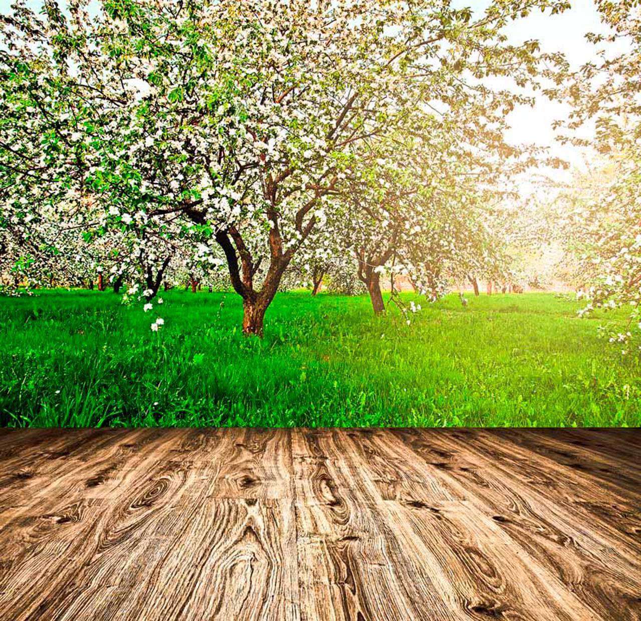 Фотообои в интерьере деревянная тропинка в цветущий парк  10-103 фото