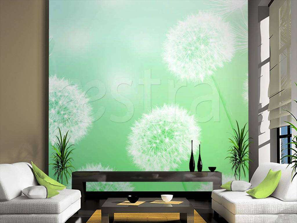 Фотообои Одуванчики на светло зеленом фоне  10-078