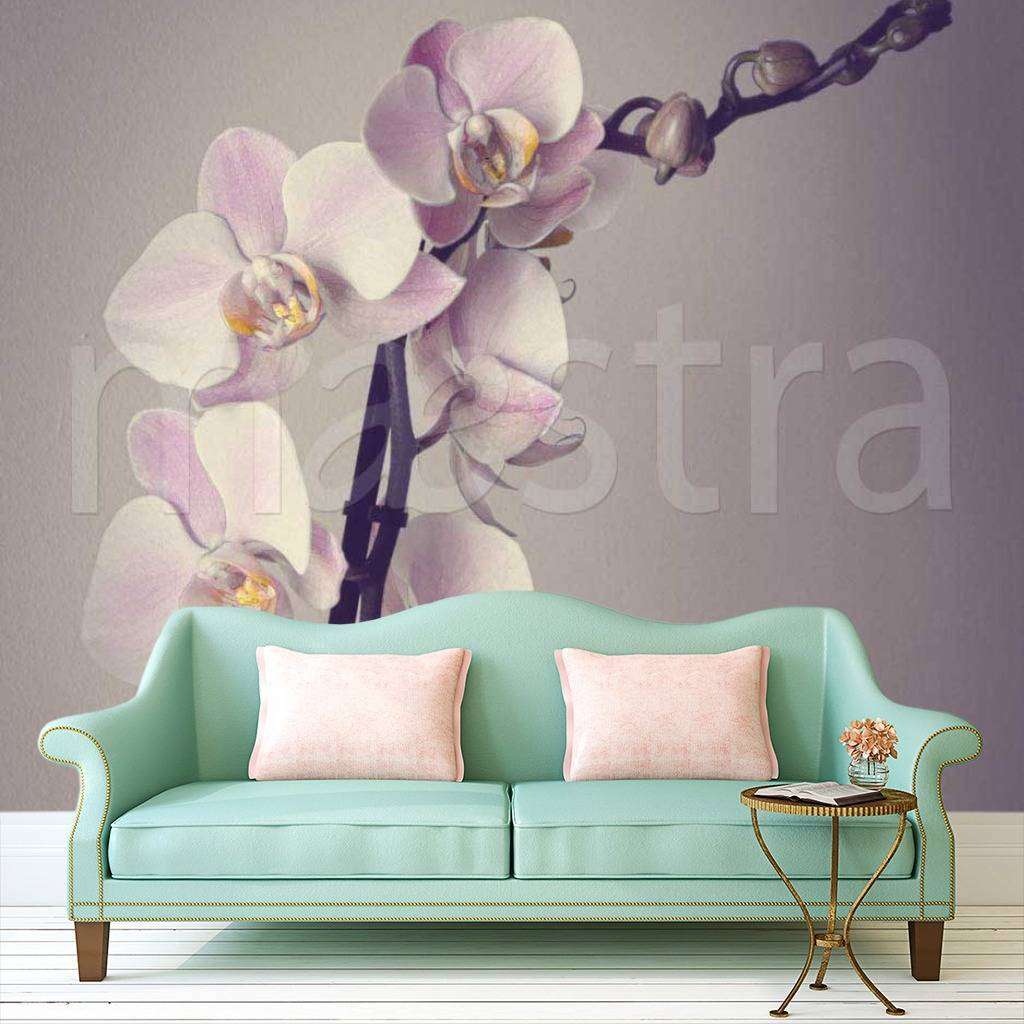 Фотообои Розовая орхидея на сером фоне  10-175