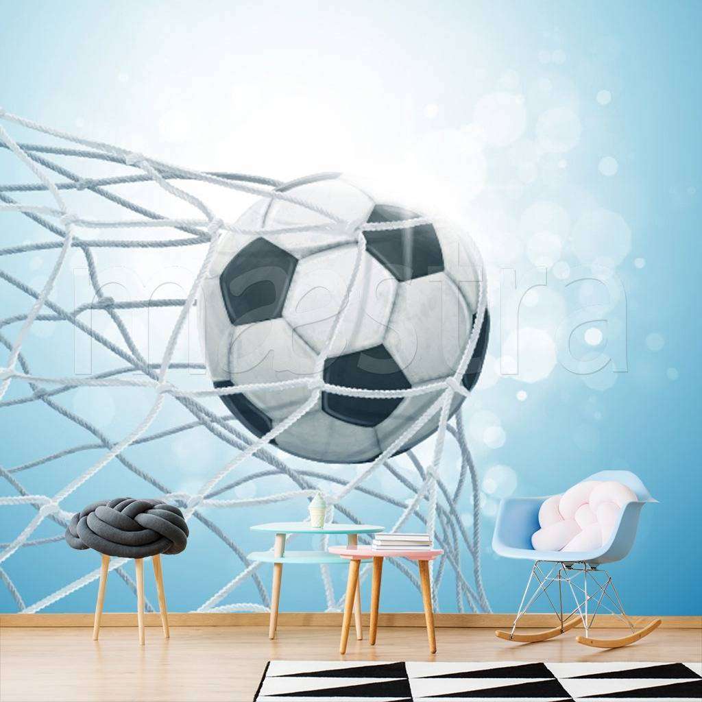 Фотообои в интерьере мяч в сетке на солнце  12-525 фото