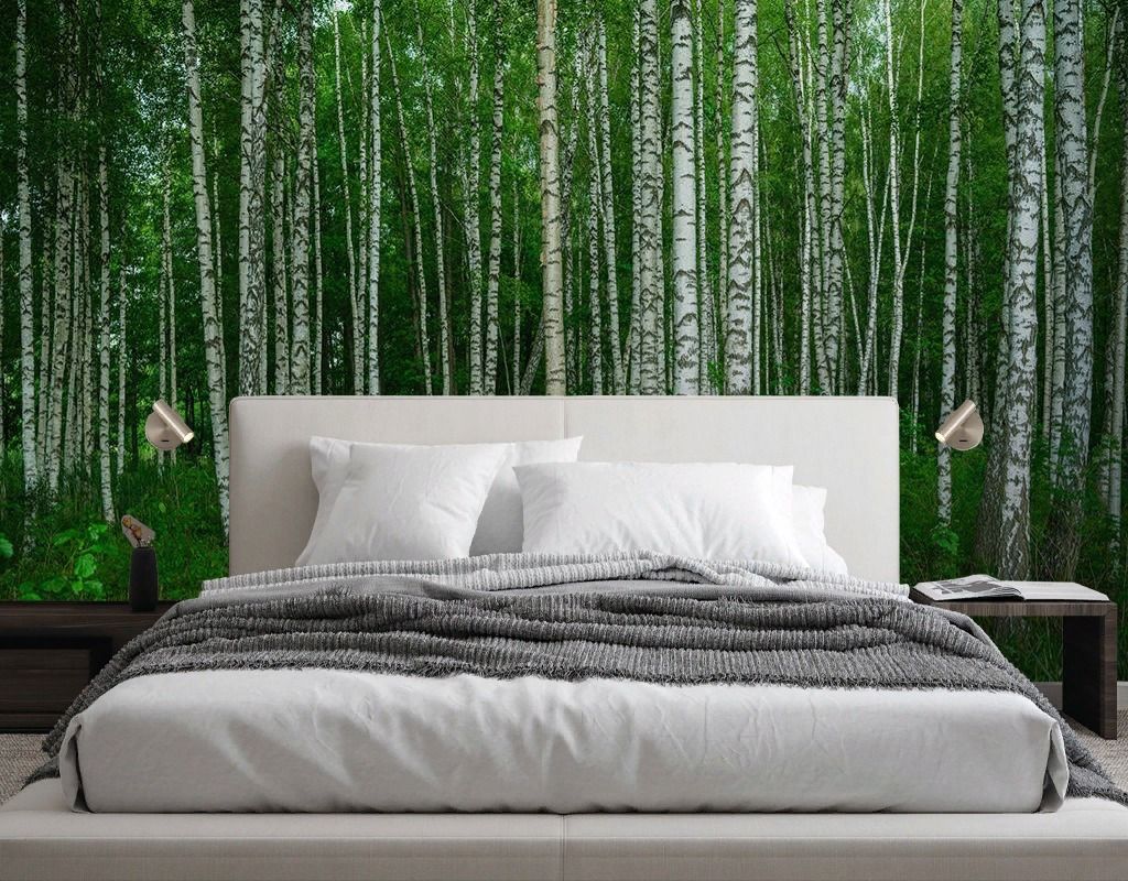 Фотообои Лес березовый  9-1971