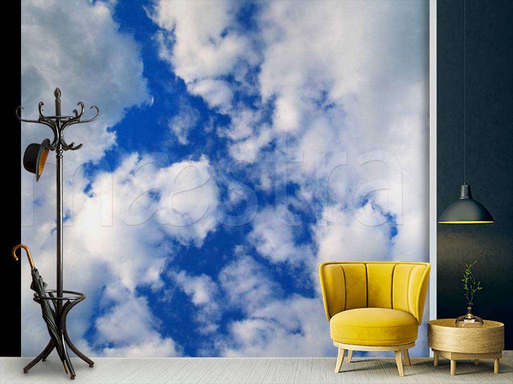 Фотообои Весеннее небо  9-307