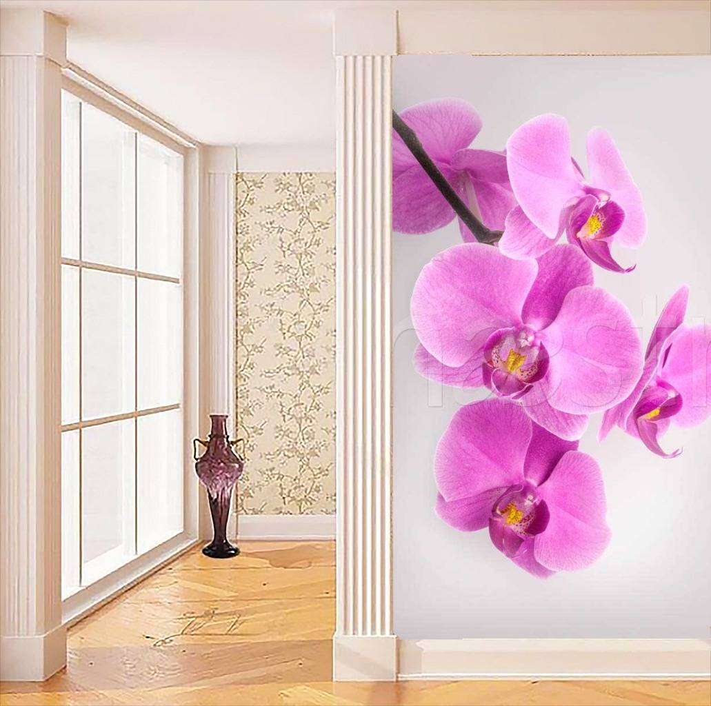 Фотообои Розовая орхидея спускающаяся сверху  10-174