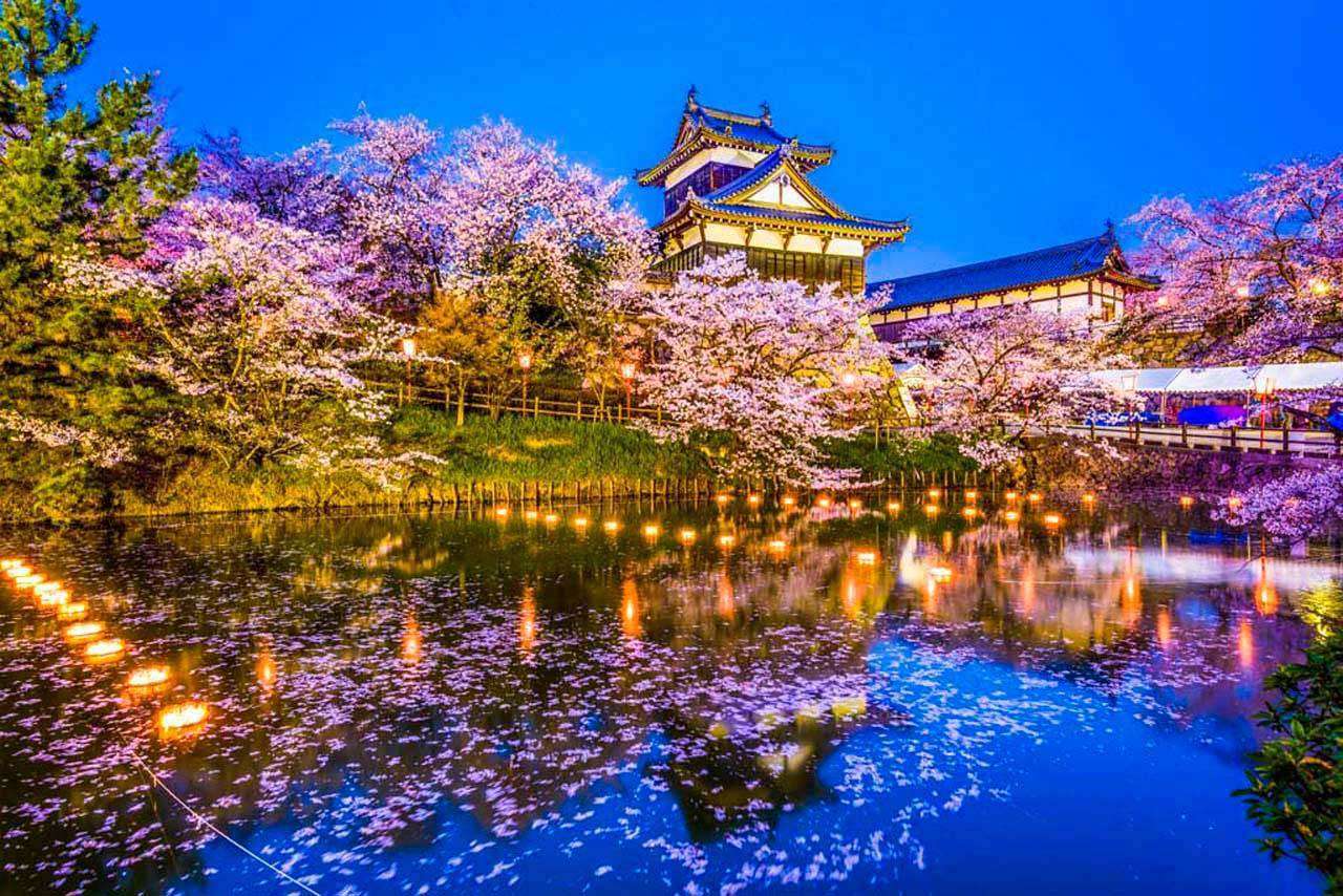 Фотообои в интерьере сказочный замок корияма с цветущими садами  10-035 фото