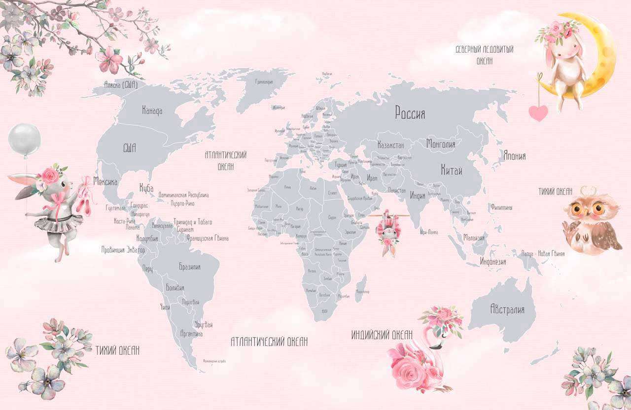 Фотообои в интерьере карта на русском розовая  12-503 фото