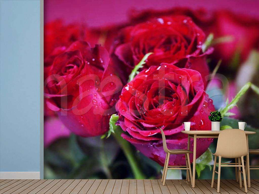 Фотообои Красные розы с большими бутонами  4-024