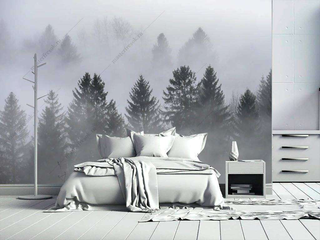 Фотообои в интерьере туманное утро в лесу  9-1165 фото