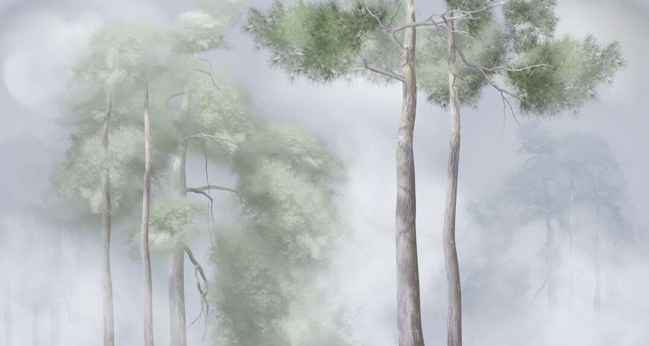 Фотообои в интерьере сосны в тумане  13-510 фото