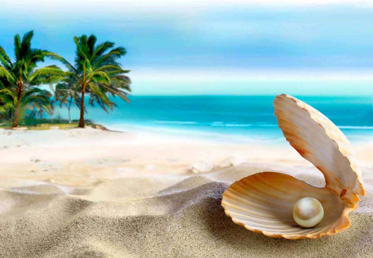 Фотообои в интерьере жемчужная раковина  4-350 фото