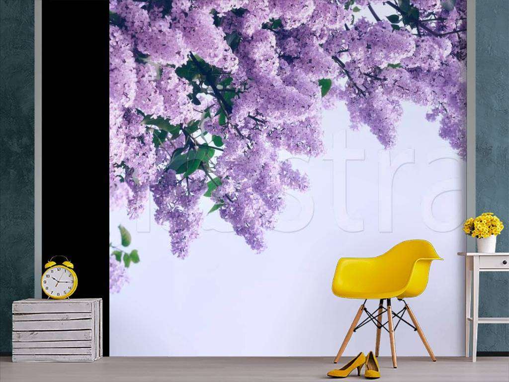 Фотообои Пушистая ветка сирени  10-049