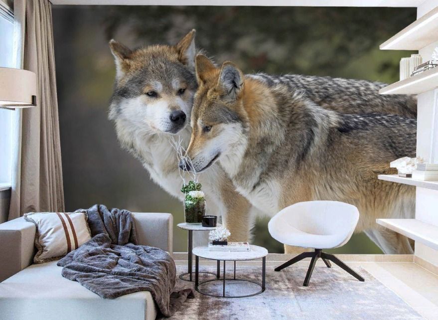 Фотообои Волки. Двое.  9-2068