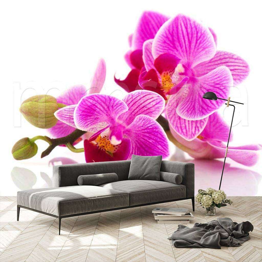 Фотообои Бесшовные обои на стену:  Розовые орхидеи. Артикул: 9-067  