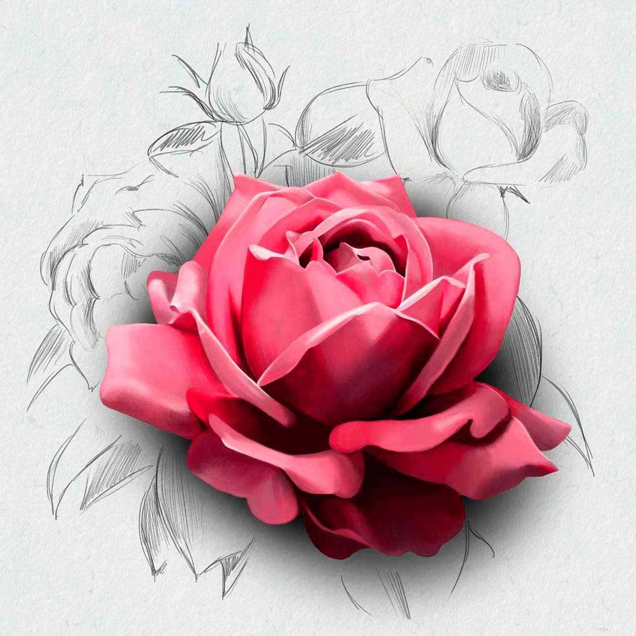 Фотообои в интерьере красная художественная роза на светлом фоне  10-322 фото