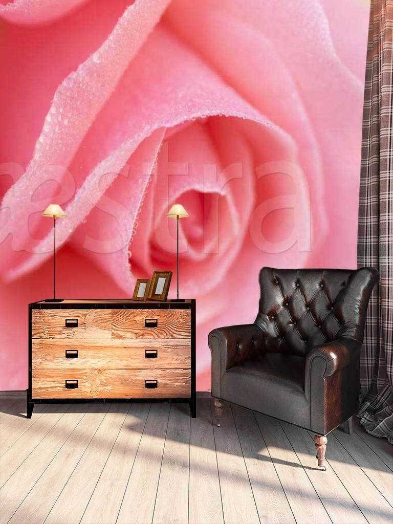 Фотообои Нежная розовая роза  10-268