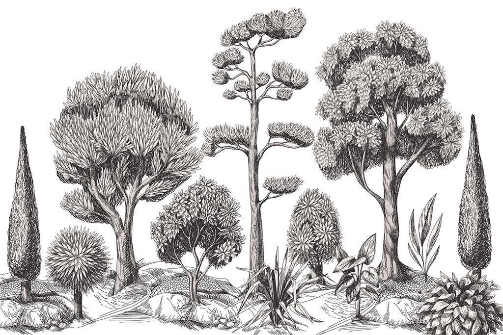 Фотообои в интерьере деревья серые  9-1965 фото