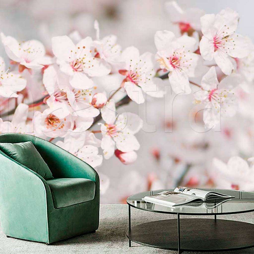 Фотообои Цветы сакуры  10-030