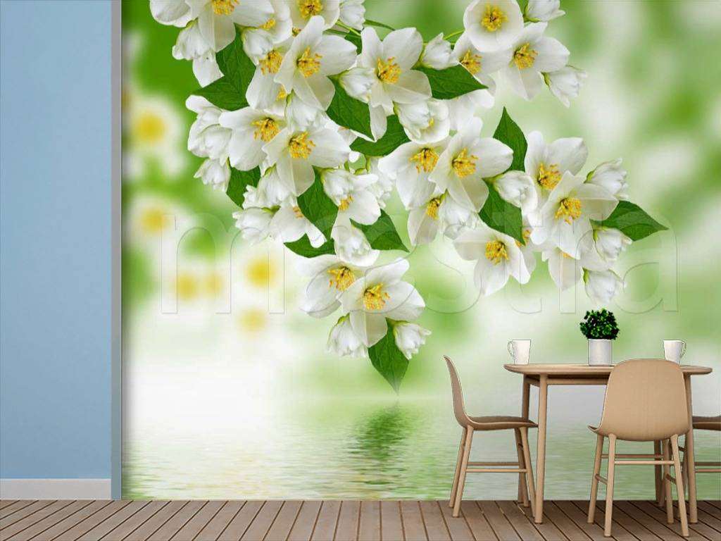 Фотообои Веточка жасмина над водой  10-113