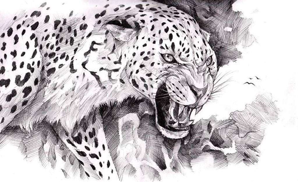 Фотообои в интерьере леопард  15-709 фото