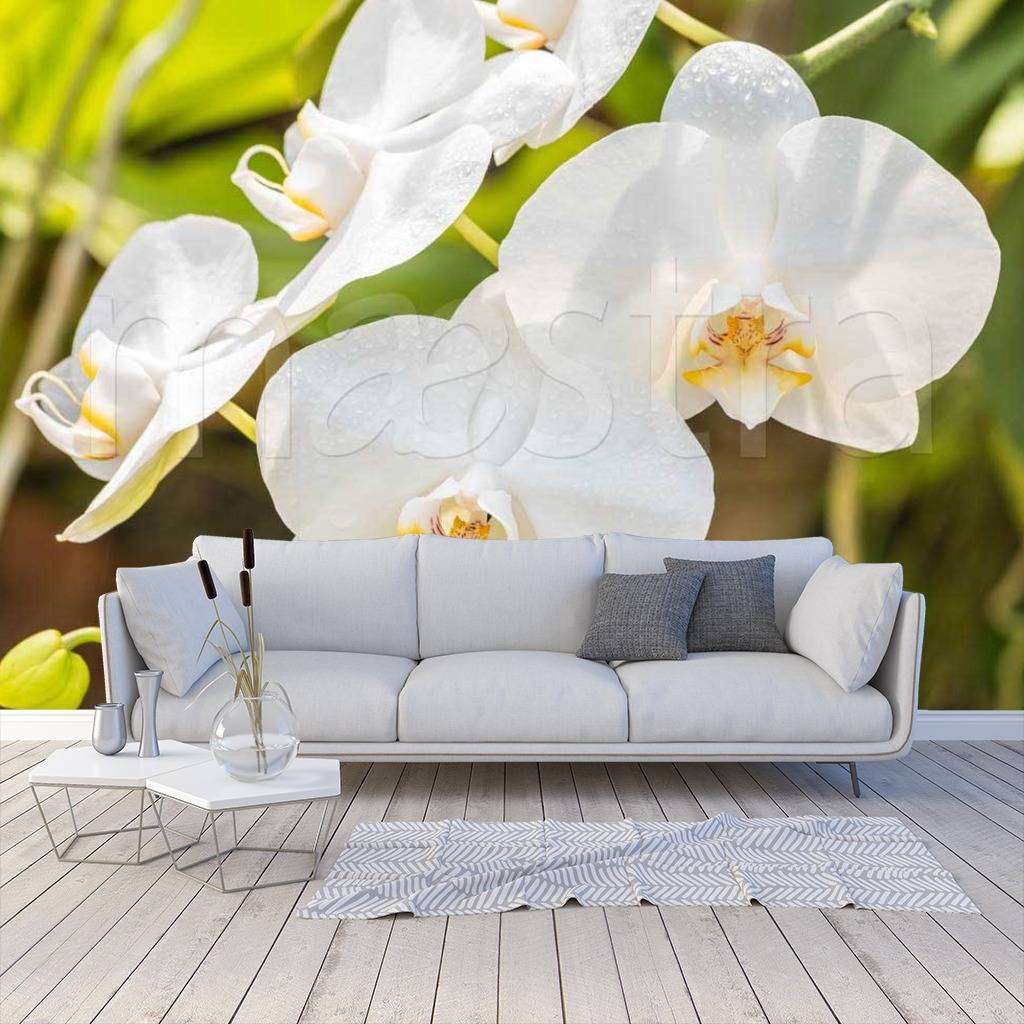 Фотообои Красивая веточка орхидеи  10-186