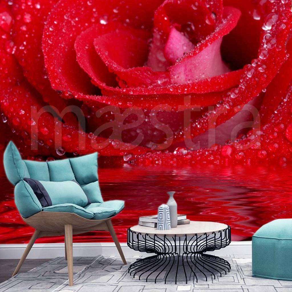 Фотообои Красная роза элегантная  10-289