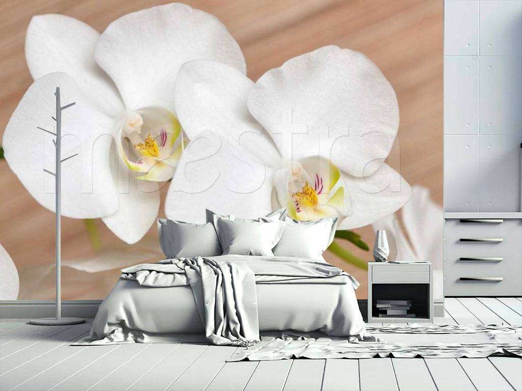 Фотообои в интерьере белая орхидея изящная  10-160 фото
