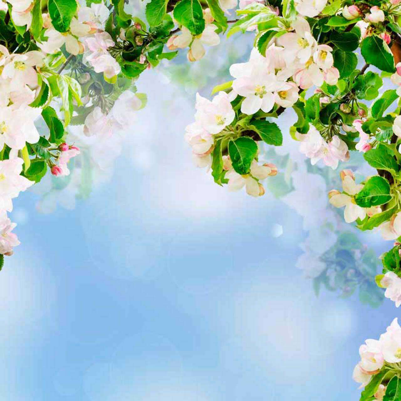 Фотообои в интерьере арка из цветов  10-106 фото