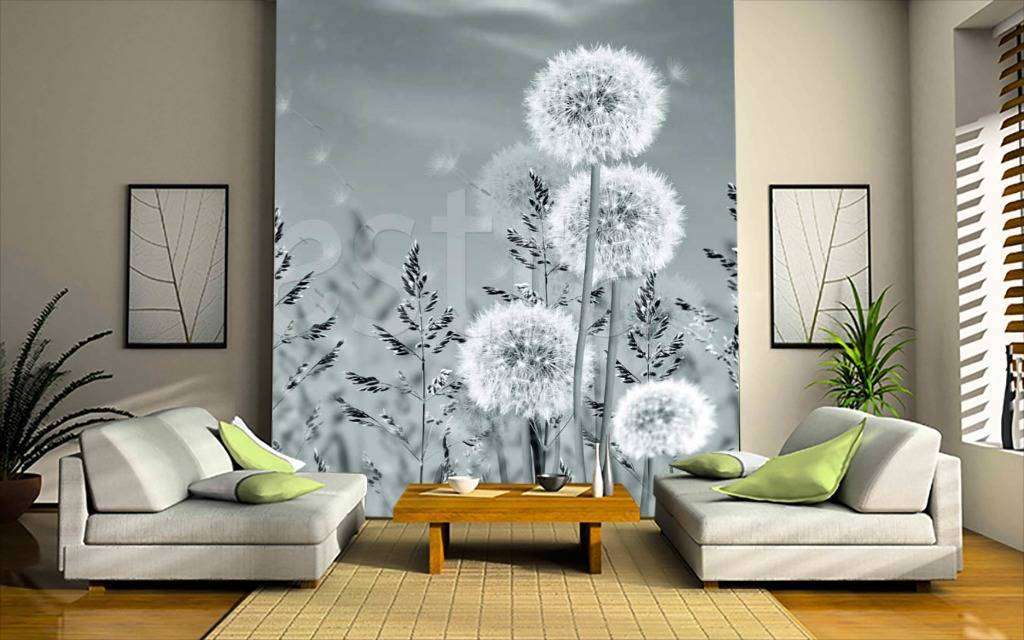 Фотообои Черно белые одуванчики в поле  10-076
