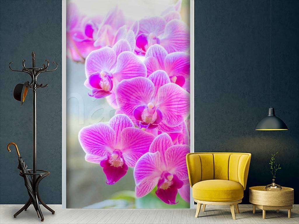 Фотообои Ветка розовой орхидеи  10-189
