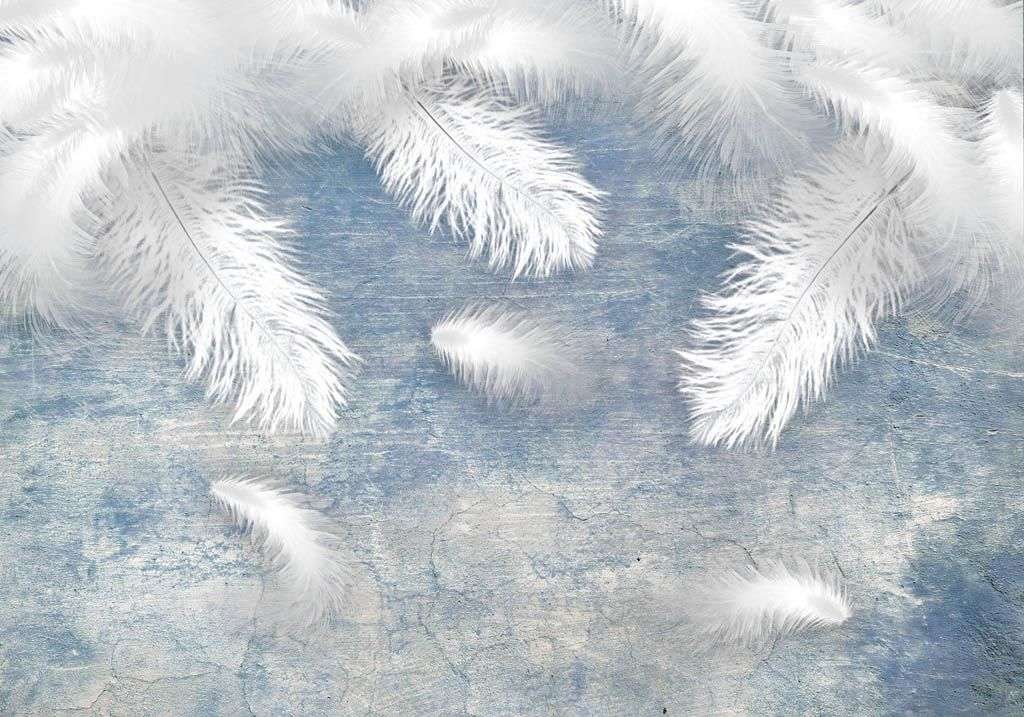 Фотообои в интерьере нежные перья на голубом фоне  10-850 фото