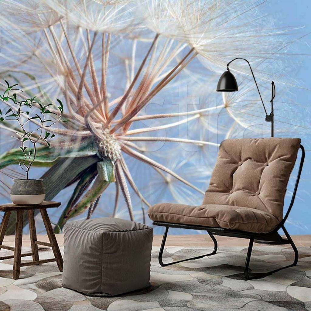 Фотообои Бесшовные обои на стену:  Белый одуванчик. Артикул: 4-081  