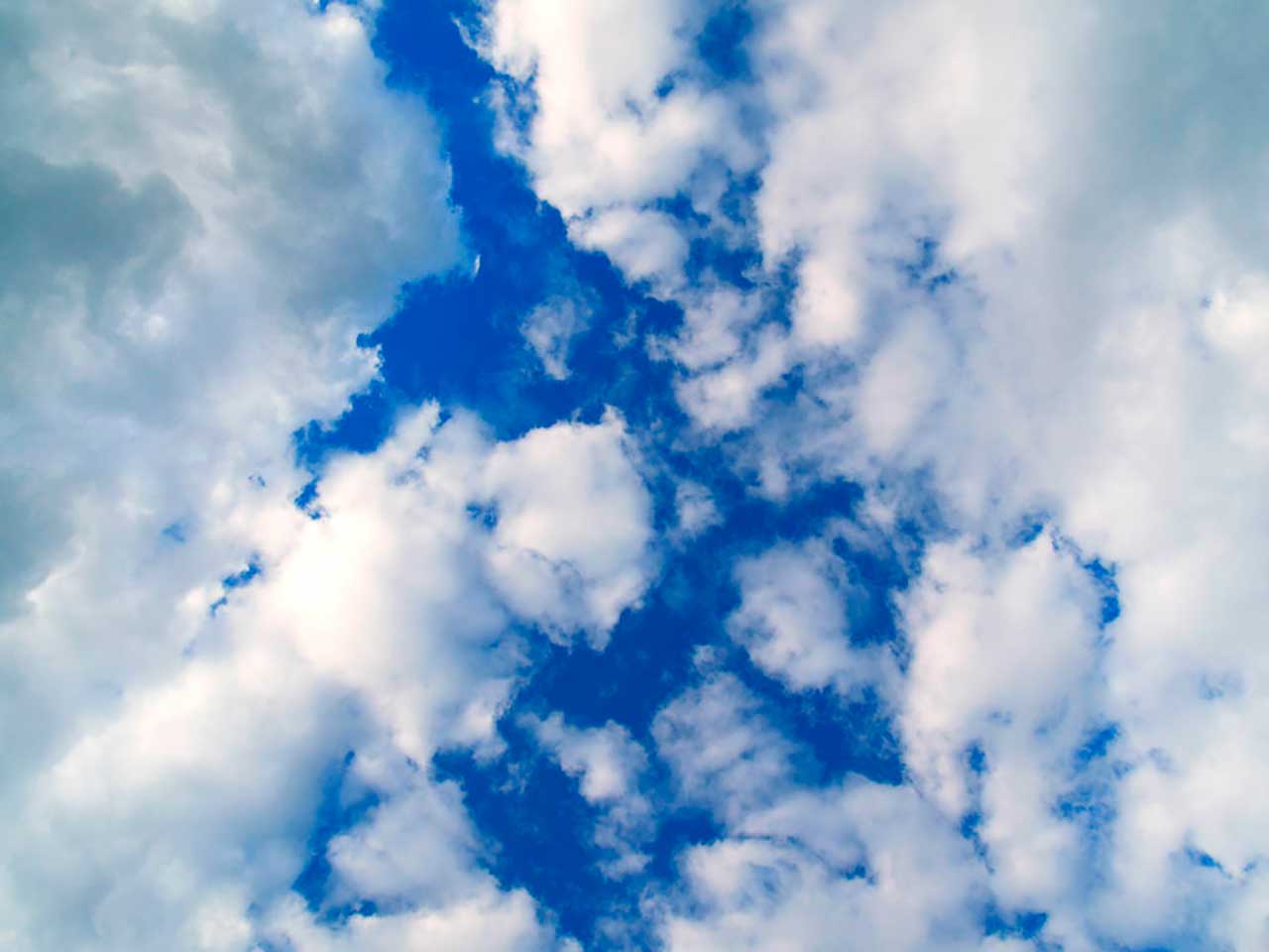 Фотообои в интерьере весеннее небо  9-307 фото